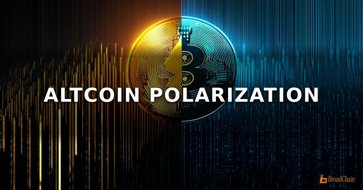 山寨币“局部狂欢”背后：普涨时代终结，资金高度集聚引发行情两极分化