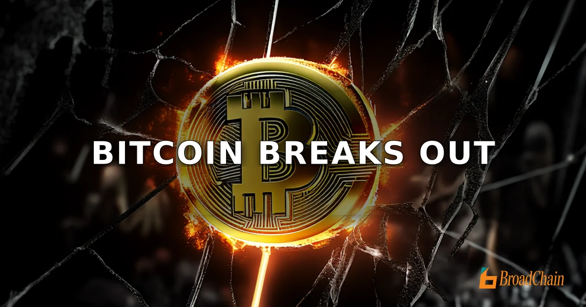 比特币突破7.9万美元创11周新高，轧空动能积聚