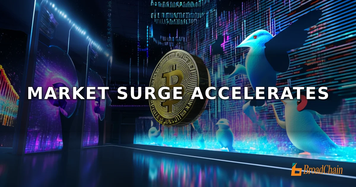 加密市场普涨，BTC站上7.8万美元，NFT板块连续三日走强