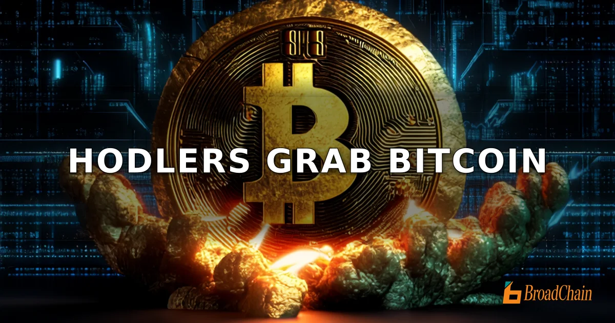 BTC长期持有者供应月增30.3万枚，市场筹码向强手集中