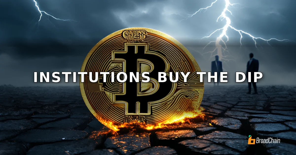 加密市场回调中，机构资金逆势涌入抄底