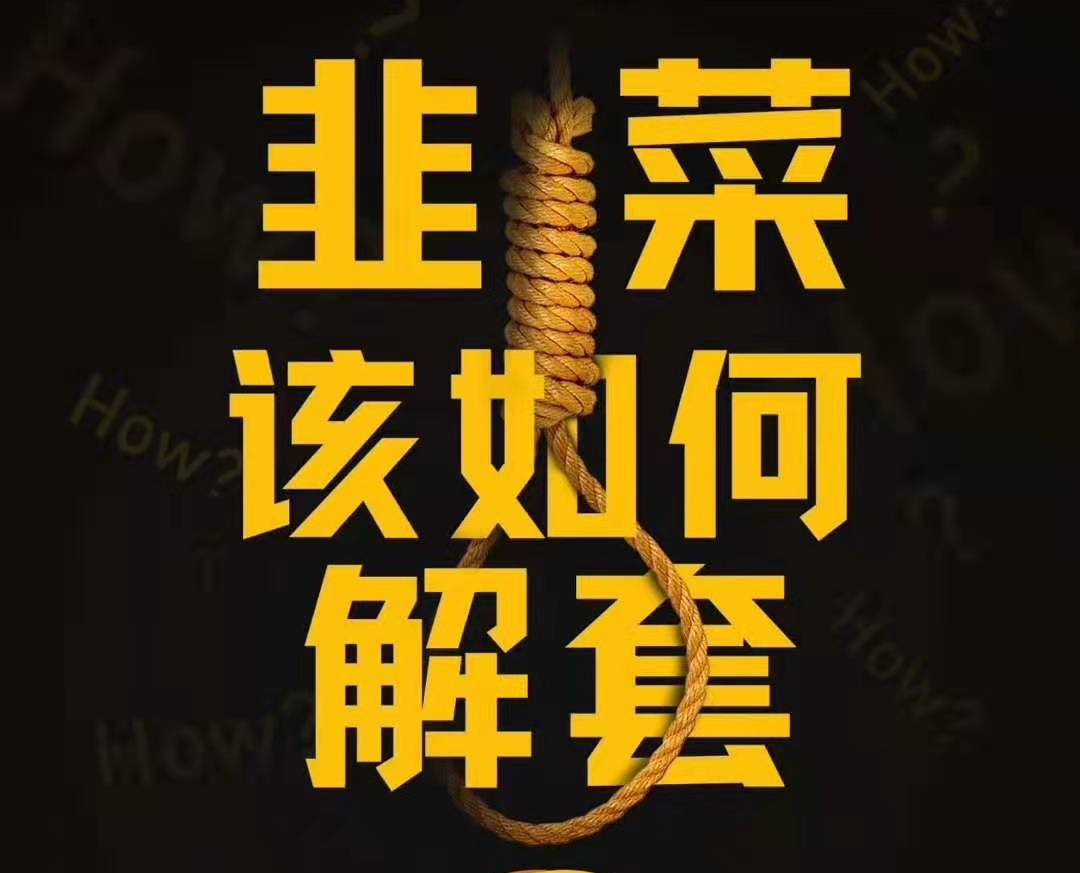 韭菜该如何解套？《解套大法》助力穿越牛熊