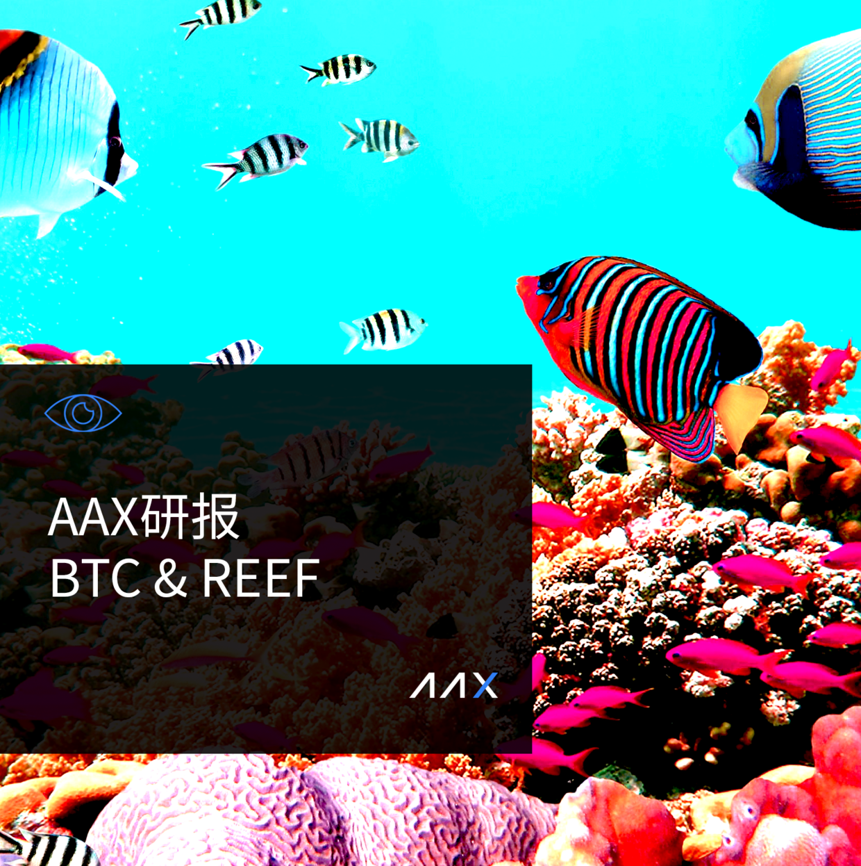 比特币总体看涨，牛市远未结束