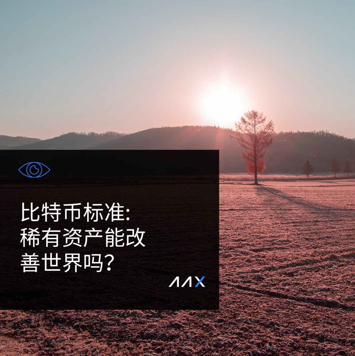 比特币标准: 稀有资产能改善世界吗？