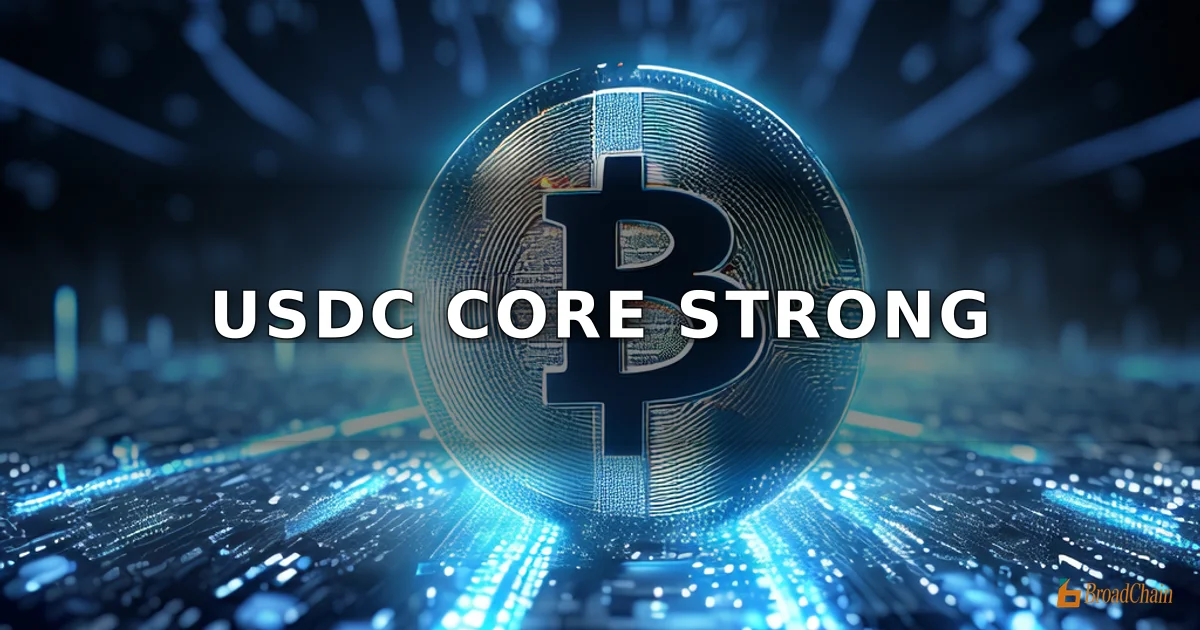 花旗银行:稳定币奖励限制或拖累USDC扩张,但不改Circle基本面